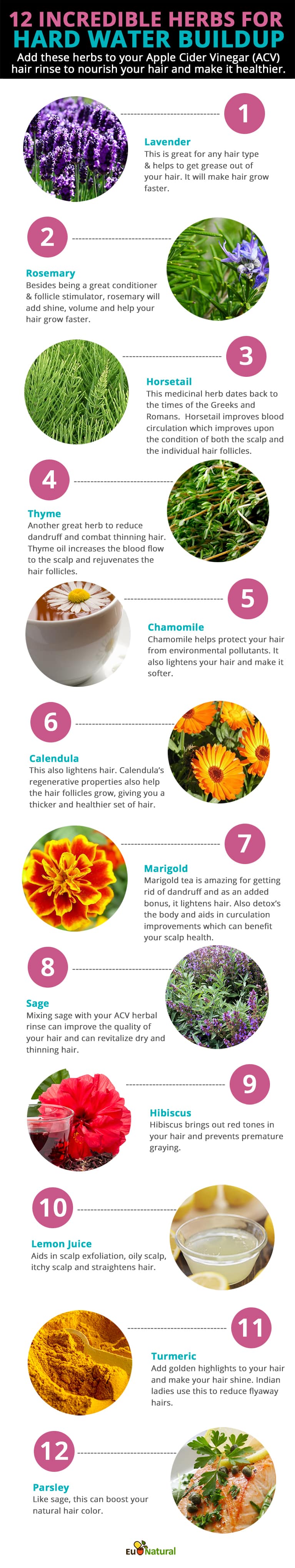 herbs-for-hard-water-buildup-infographic-final-1