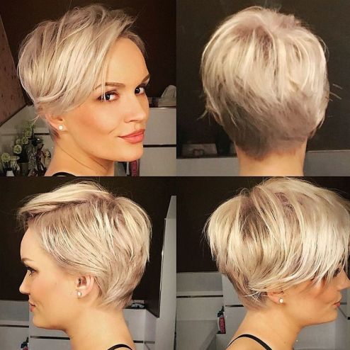 short feathered pixie
