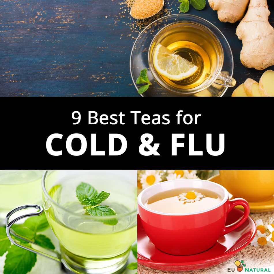 8 Best Teas for Cold and Flu