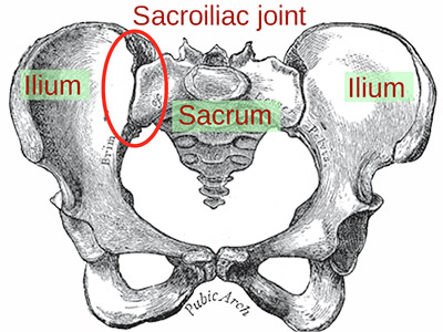 sacroiliac-joint